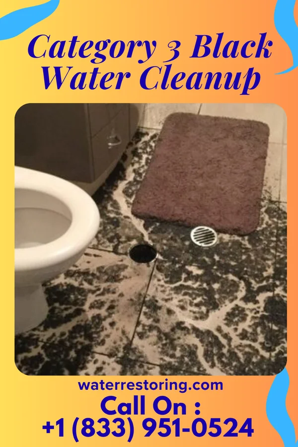 Category 3 Black Water Cleanup in Janesville, IA