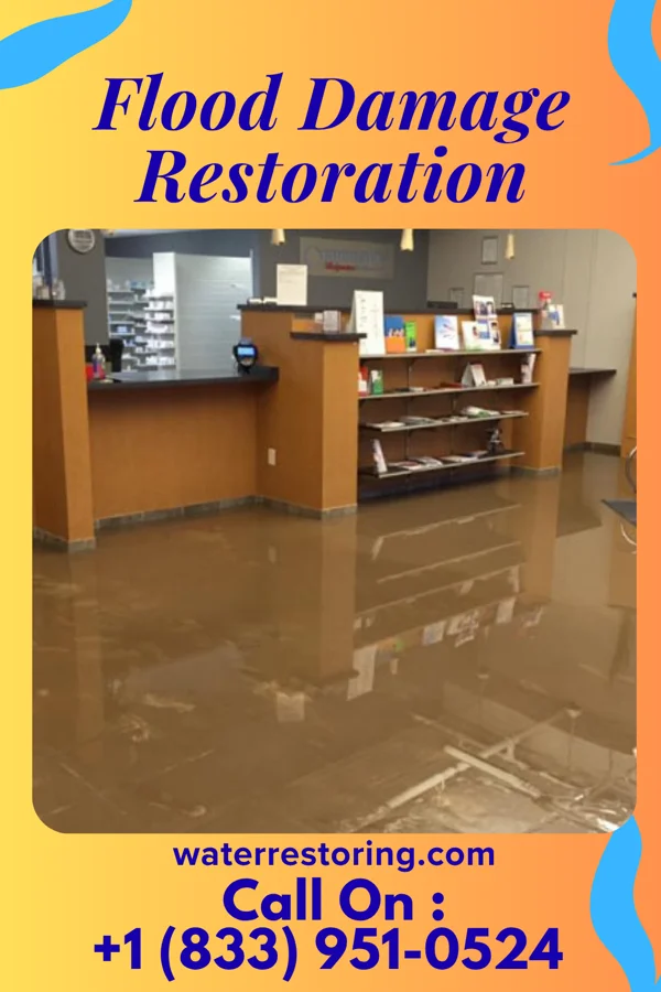 Flood Damage Restoration in Janesville, IA